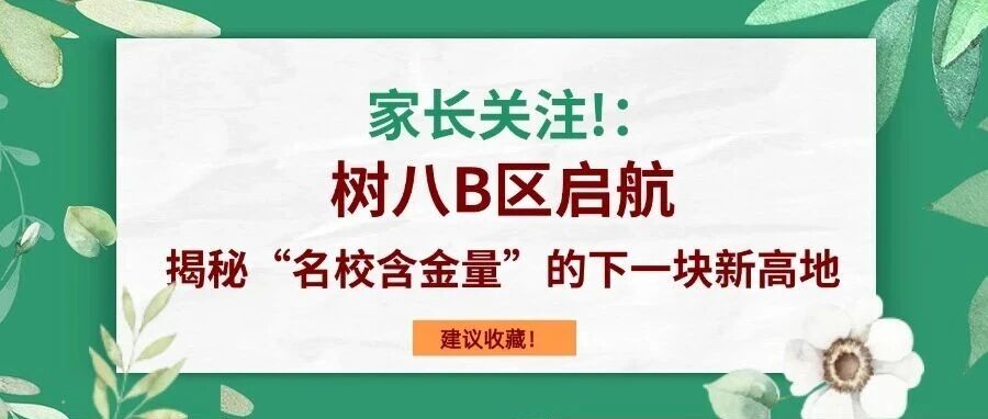 家长关注!树八B区启航：揭秘“学校含金量”的下一块新高地